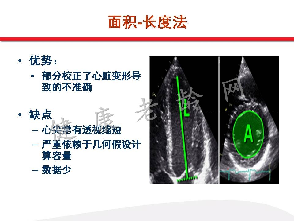 超声心电图的临床基础（一）