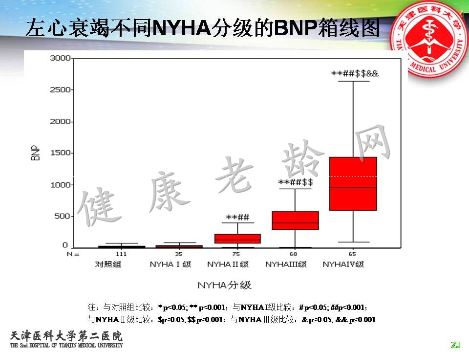 BNP与心力衰竭