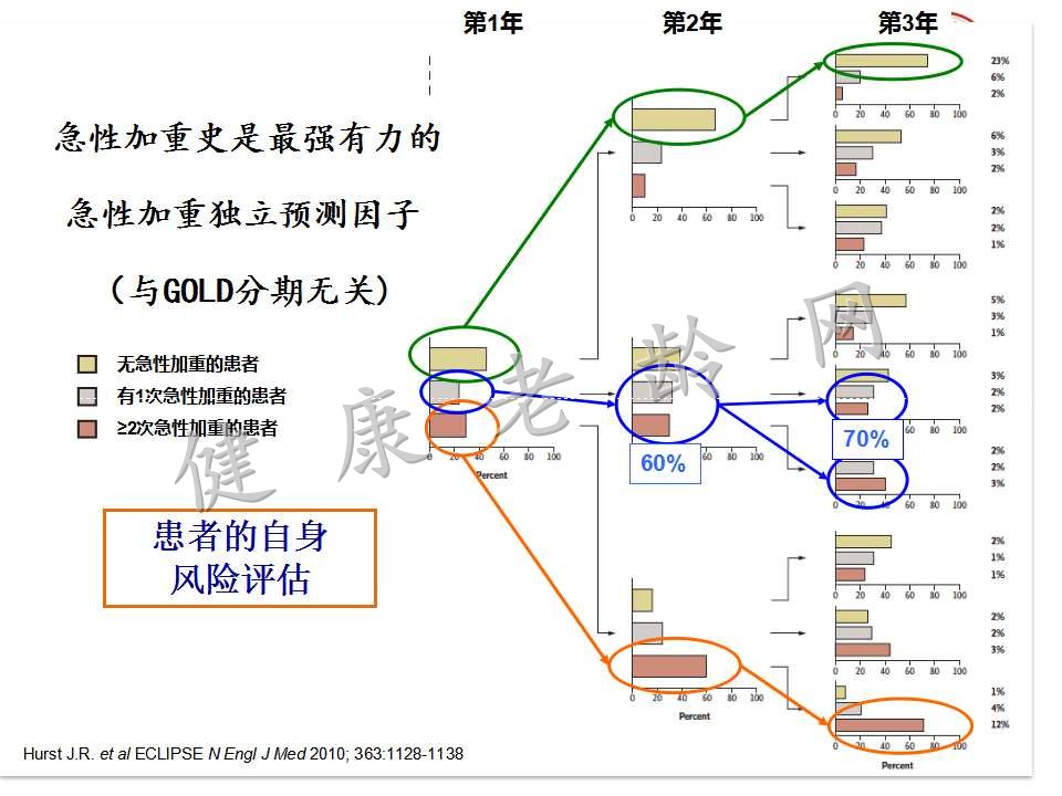 老年慢性阻塞性肺疾病的诊治特点