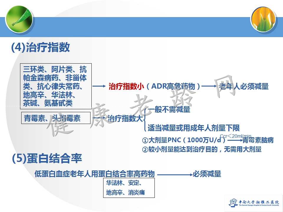 老年人合理用药