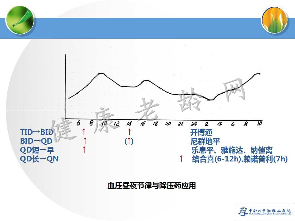 老年人合理用药