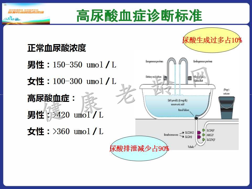 老年人高尿酸血症与痛风的诊治