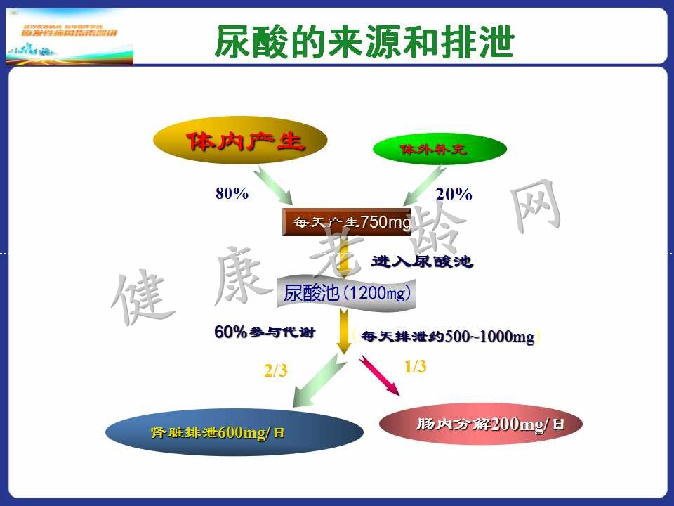 老年人高尿酸血症与痛风的诊治