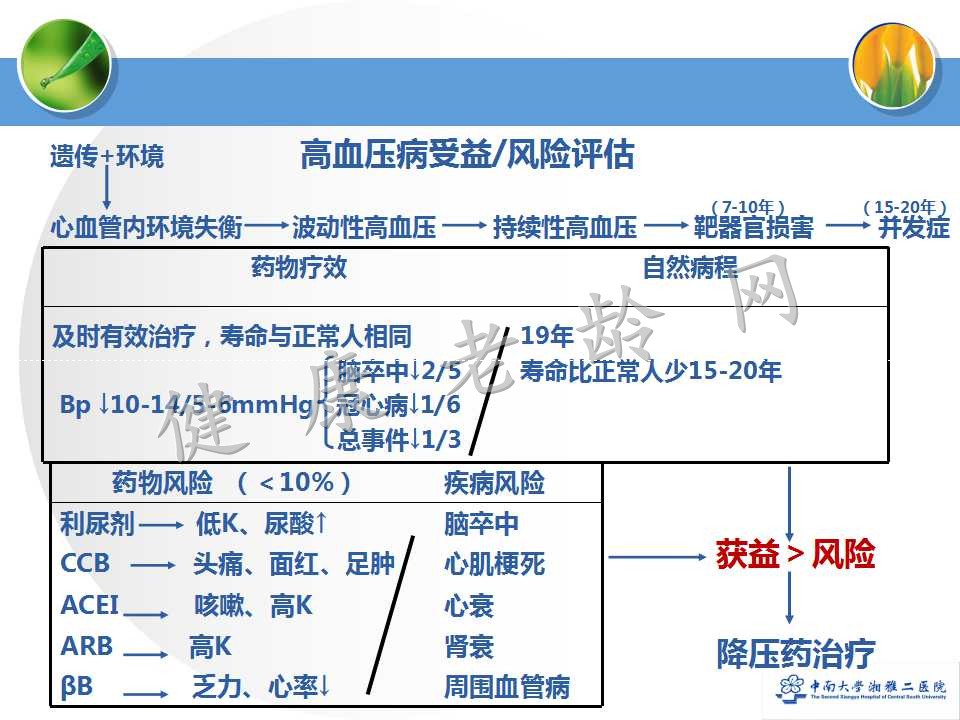 老年人合理用药