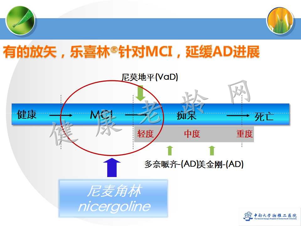 老年人合理用药