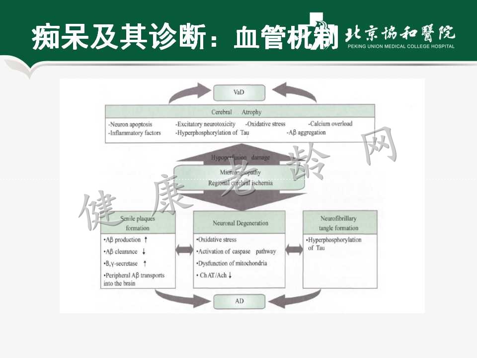 老年人认知障碍——痴呆的诊断和治疗