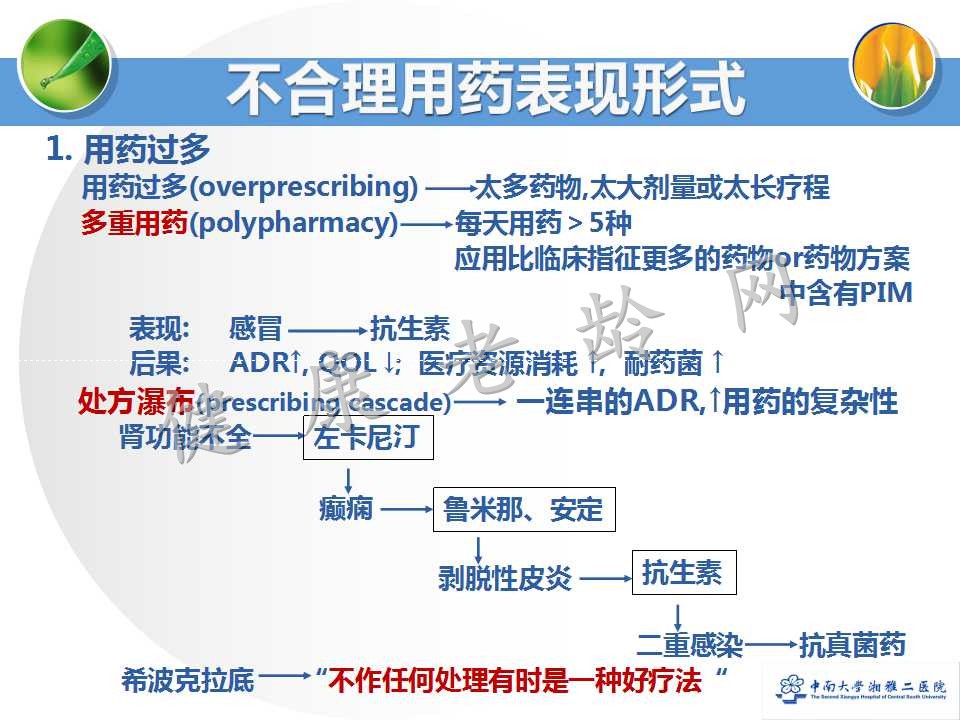 老年人合理用药