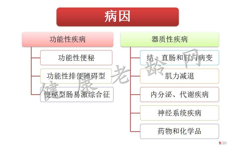 便秘与便失禁