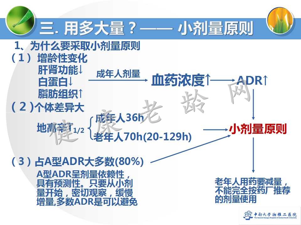 老年人合理用药