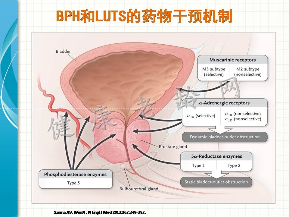 尿不频 尿的通 尿的尽