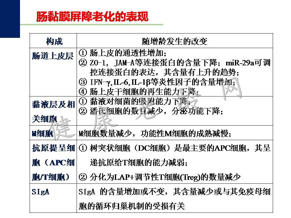 老年人慢性低度炎症与肠粘膜屏障