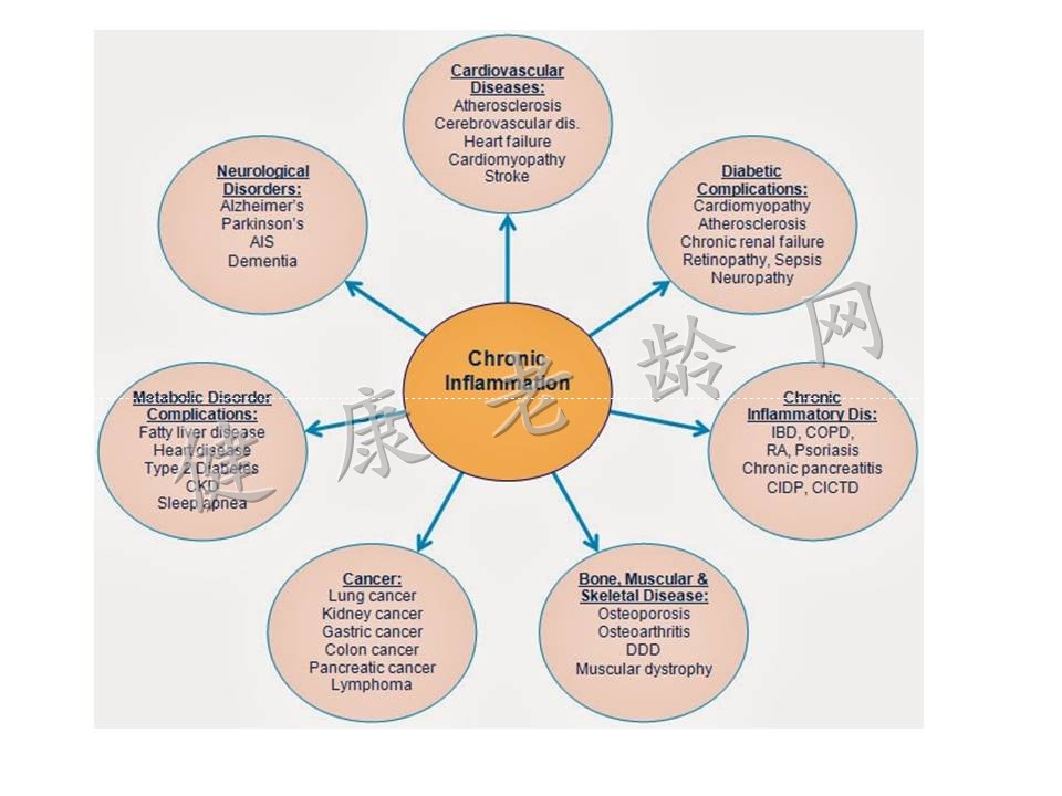 老年人慢性低度炎症与肠粘膜屏障