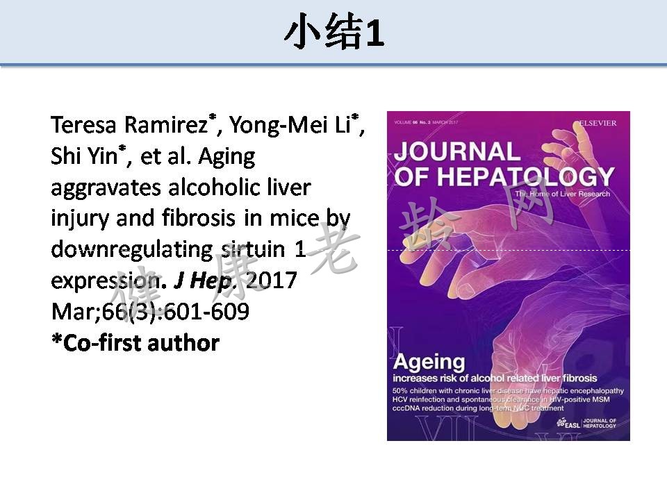 衰老加重酒精性肝损伤和前列腺炎症反应