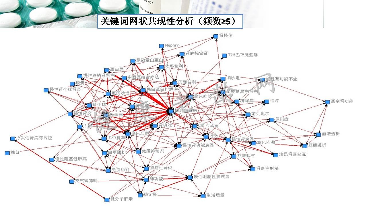 百令胶囊有效性评价——肾功能衰竭