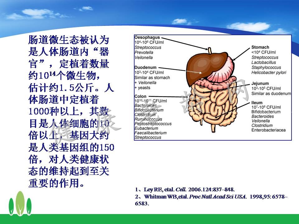 化疗和肠道微生态