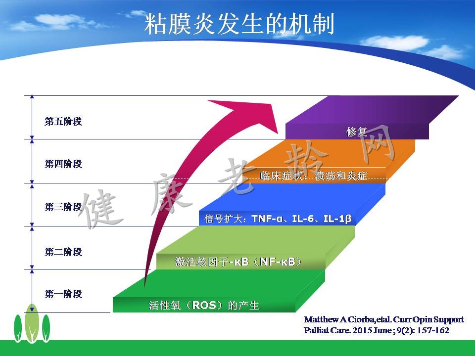 化疗和肠道微生态