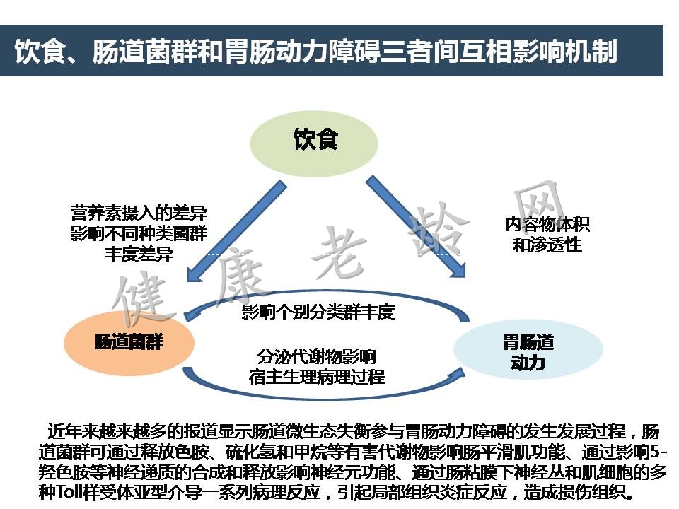 肠道菌群与老年胃肠动力障碍