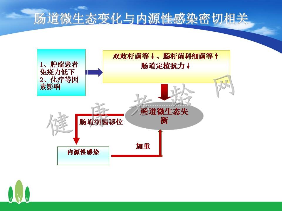 化疗和肠道微生态